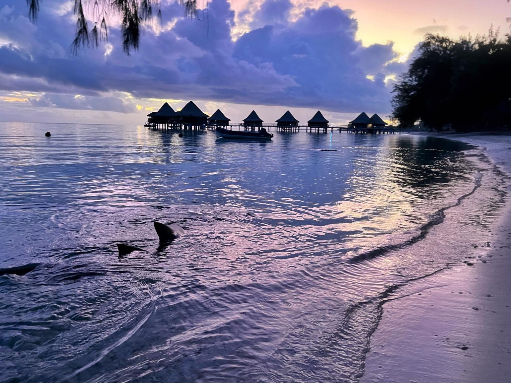 Hinamoe Lodge Avatoru Kültér fotó